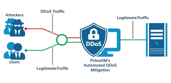 DDoS Protection
